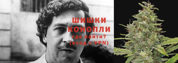 сатива Ступино