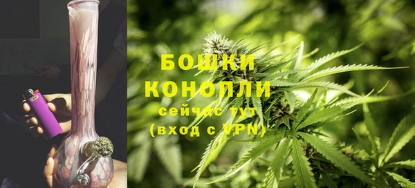 сатива Ступино